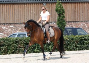 140099179_413524786368019_9167129485038381948_n